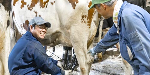先輩スタッフの声