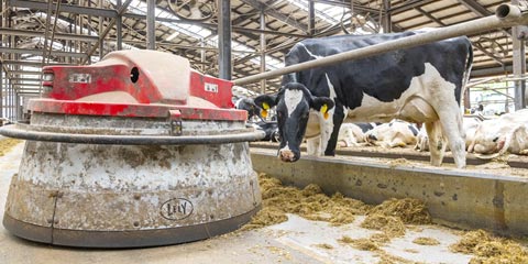 インターンシップ要項